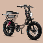 Flight Risk 333 ebike CHAMPAGNE steves snow store wollongong