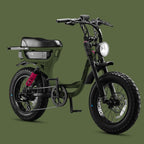 Flight Risk 333 ebike OLIVE steves snow store wollongong