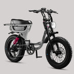 Flight Risk 333 ebike SILVER steves snow store wollongong