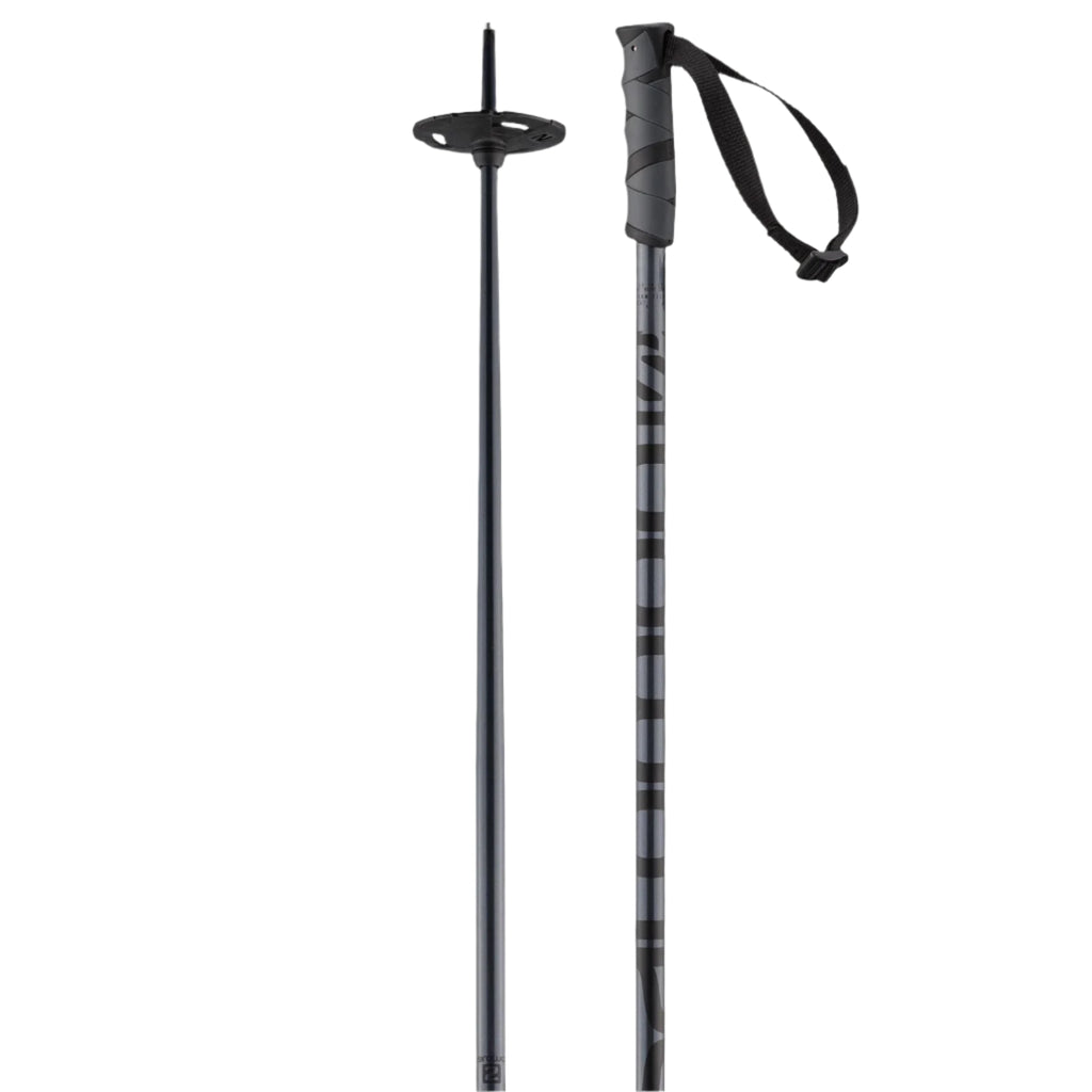 Salomon Hacker Poles