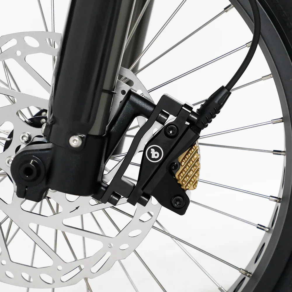 Steves snow store Wollongong