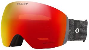 Oakley Flight Deck L Goggle